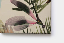 Lade das Bild in den Galerie-Viewer, Canvas-Leinwand Libelula
